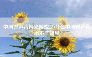 中国好声音橙光游戏,为什么中国好声音出不了明星