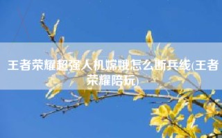 王者荣耀超强人机嫦娥怎么断兵线(王者荣耀陪玩)