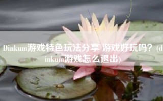 Dinkum游戏特色玩法分享 游戏好玩吗？(dinkum游戏怎么退出)