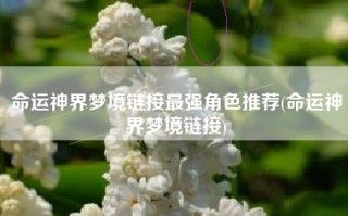 命运神界梦境链接最强角色推荐(命运神界梦境链接)