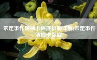 未定事件簿抽卡保底机制详解(未定事件簿抽卡保底)