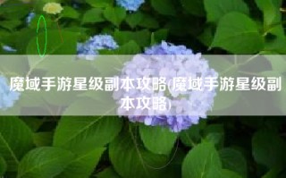 魔域手游星级副本攻略(魔域手游星级副本攻略)