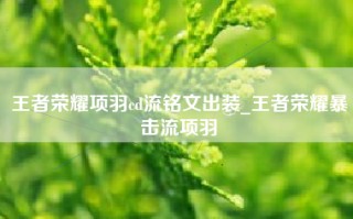 王者荣耀项羽cd流铭文出装_王者荣耀暴击流项羽