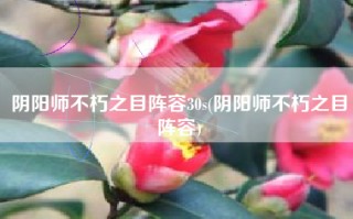 阴阳师不朽之目阵容30s(阴阳师不朽之目阵容)