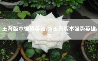 王者版本强势英雄s15(王者版本强势英雄s23)