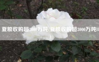 夏粮收购超3000万吨(夏粮收购超3000万吨ll)
