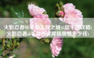 火影忍者OL手游无尽之域45层平民攻略(火影忍者ol手游传说降临需要多少钱)