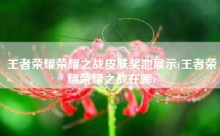王者荣耀荣耀之战皮肤奖池展示(王者荣耀荣耀之战在哪)