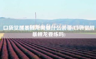 口袋觉醒暴鲤龙需要什么装备(口袋觉醒暴鲤龙要练吗)