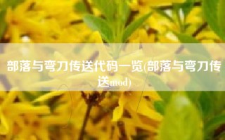 部落与弯刀传送代码一览(部落与弯刀传送mod)