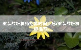 重装战姬机师招募时间汇总(重装战姬机师推荐)