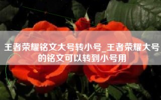 王者荣耀铭文大号转小号_王者荣耀大号的铭文可以转到小号用
