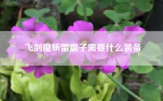 飞剑魔斩雷震子需要什么装备