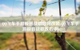 QQ飞车手游极音战歌如何改装(QQ飞车手游极音战歌改右中)
