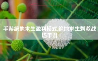 手游绝地求生盈利模式,绝地求生刺激战场手游