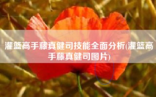 灌篮高手藤真健司技能全面分析(灌篮高手藤真健司图片)