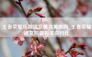 王者荣耀防御铭文值得筹集吗_王者荣耀铭文防御和生命对比