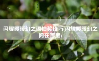 闪耀暖暖幻之阁抽奖技巧(闪耀暖暖幻之阁在哪里)