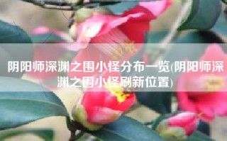 阴阳师深渊之围小怪分布一览(阴阳师深渊之围小怪刷新位置)