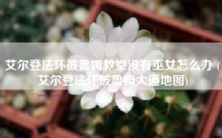 艾尔登法环彼鲁姆教堂没有巫女怎么办 (艾尔登法环彼鲁姆大道地图)