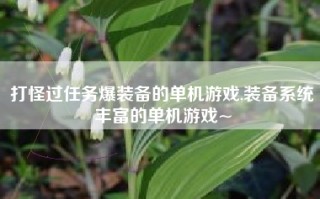 打怪过任务爆装备的单机游戏,装备系统丰富的单机游戏~