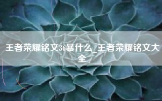 王者荣耀铭文36暴什么_王者荣耀铭文大全