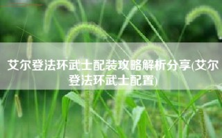 艾尔登法环武士配装攻略解析分享(艾尔登法环武士配置)