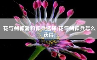 花与剑神器和神兵选择(花与剑神兵怎么获得)