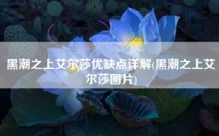 黑潮之上艾尔莎优缺点详解(黑潮之上艾尔莎图片)