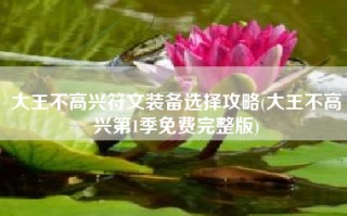 大王不高兴符文装备选择攻略(大王不高兴第1季免费完整版)