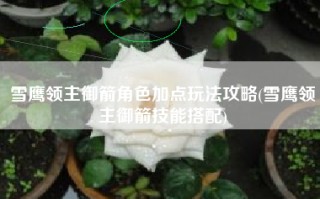 雪鹰领主御箭角色加点玩法攻略(雪鹰领主御箭技能搭配)