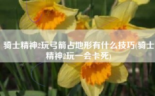 骑士精神2玩弓箭占地形有什么技巧(骑士精神2玩一会卡死)