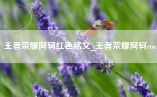 王者荣耀阿轲红色铭文_王者荣耀阿轲cos