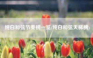 纯白和弦节奏榜一览(纯白和弦天梯榜)