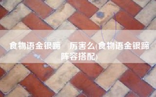 食物语金银蹄髈厉害么(食物语金银蹄髈阵容搭配)