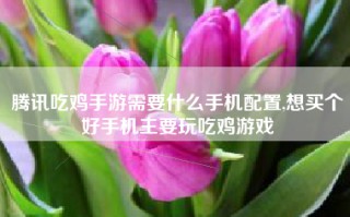 腾讯吃鸡手游需要什么手机配置,想买个好手机主要玩吃鸡游戏