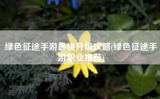 绿色征途手游最快升级攻略(绿色征途手游职业推荐)