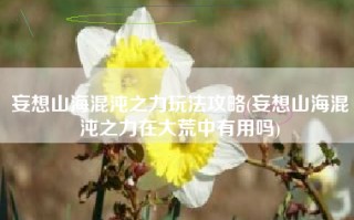 妄想山海混沌之力玩法攻略(妄想山海混沌之力在大荒中有用吗)
