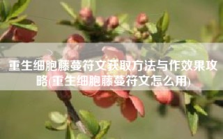 重生细胞藤蔓符文获取方法与作效果攻略(重生细胞藤蔓符文怎么用)