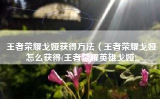 王者荣耀戈娅获得方法（王者荣耀戈娅怎么获得(王者荣耀英雄戈娅)