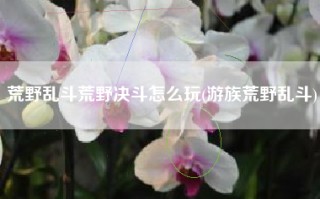 荒野乱斗荒野决斗怎么玩(游族荒野乱斗)