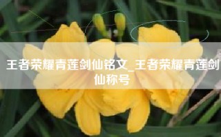 王者荣耀青莲剑仙铭文_王者荣耀青莲剑仙称号