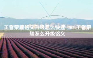 王者荣耀铭文升级怎么快速_2021王者荣耀怎么升级铭文