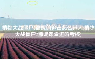 植物大战僵尸2潘妮的追击怎么进人(植物大战僵尸2潘妮课堂进阶考核)