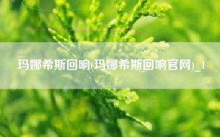 玛娜希斯回响(玛娜希斯回响官网)_1