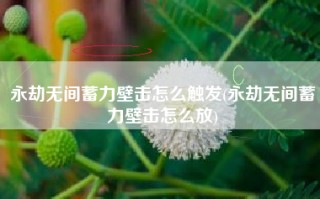 永劫无间蓄力壁击怎么触发(永劫无间蓄力壁击怎么放)