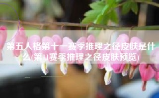 第五人格第十一赛季推理之径皮肤是什么(第11赛季推理之径皮肤预览)