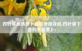 四叶草剧场萝卜最佳使用攻略(四叶草下面的水晶萝卜)
