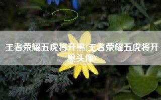 王者荣耀五虎将开黑(王者荣耀五虎将开黑头像)