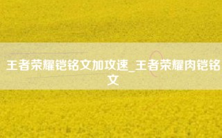 王者荣耀铠铭文加攻速_王者荣耀肉铠铭文